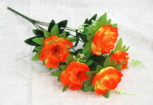 Б1831 пиончик